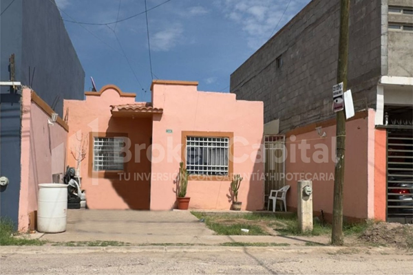 Broker Capital - Girasoles