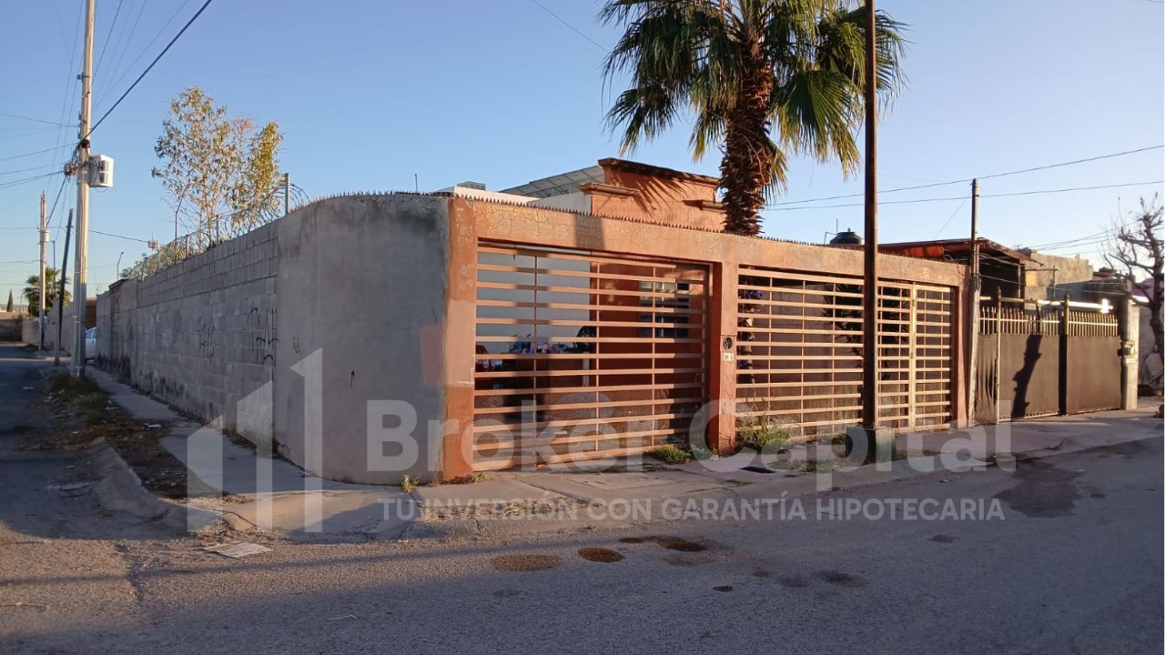 Broker Capital - Girasoles II
